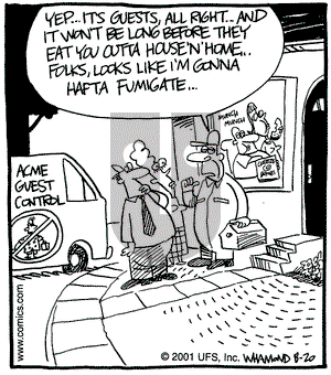 Reality Check on Monday August 20, 2001 Comic Strip