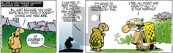 Over the Hedge on Saturday February 21, 2015 Comic Strip
