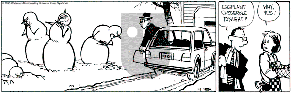 Calvin and Hobbes on Monday January 18, 1993 Comic Strip