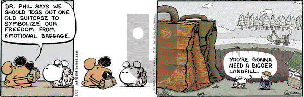 DeFlocked on Thursday June 26, 2008 Comic Strip