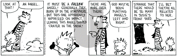 Calvin and Hobbes - Tuesday February 16, 1993 Comic Strip