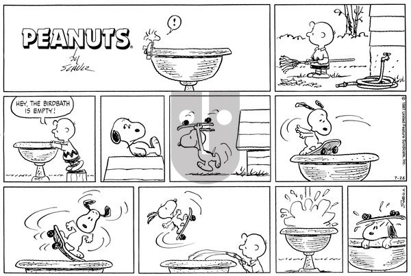 Peanuts on Sunday July 26, 1987 Comic Strip