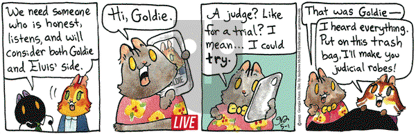 Breaking Cat News on Thursday May 1, 2025 Comic Strip