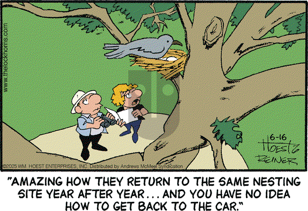 The Lockhorns on Monday June 16, 2025 Comic Strip