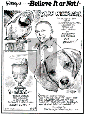 Ripley's Believe It or Not on Monday June 25, 2007 Comic Strip