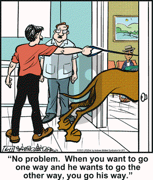 Marmaduke on Wednesday June 11, 2025 Comic Strip