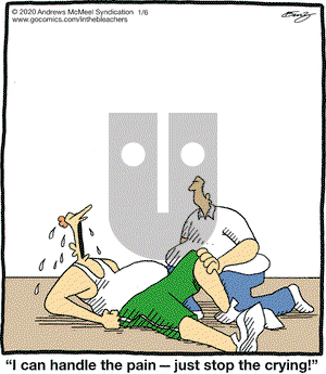 In the Bleachers on Monday January 6, 2020 Comic Strip