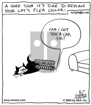 Kit 'N' Carlyle on Wednesday May 7, 2003 Comic Strip