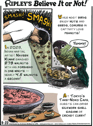 Ripley's Believe It or Not - Wednesday September 20, 2023 Comic Strip