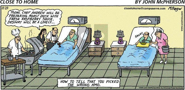 Close to Home on Sunday December 29, 2002 Comic Strip