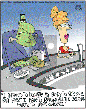 The Flying McCoys on Thursday March 28, 2019 Comic Strip