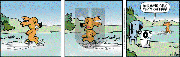 Pooch Cafe on Saturday August 3, 2019 Comic Strip