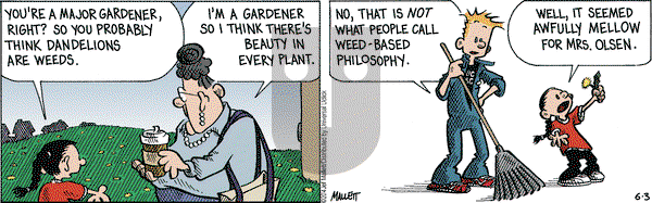 Frazz on Tuesday June 3, 2014 Comic Strip