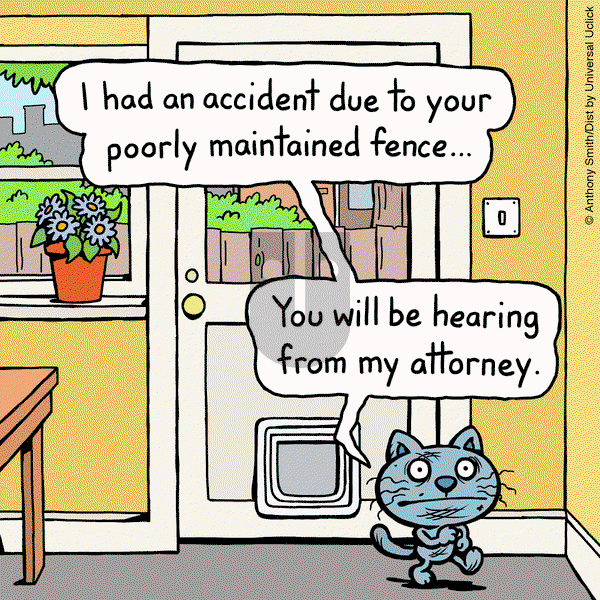 Cattitude — Doggonit on Friday January 24, 2025 Comic Strip
