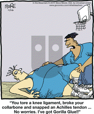 In the Bleachers on Wednesday November 26, 2014 Comic Strip