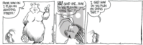 The Grizzwells on Wednesday July 19, 2006 Comic Strip