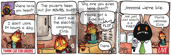 Breaking Cat News on Monday August 12, 2019 Comic Strip