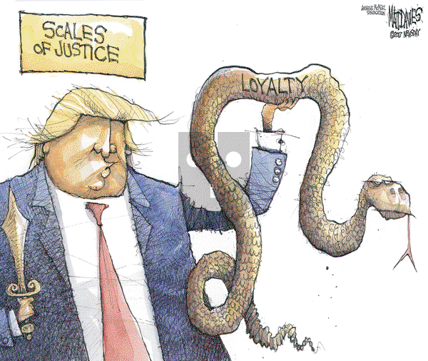 Matt Davies on Friday July 21, 2017 Comic Strip