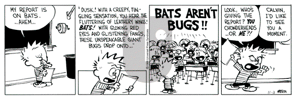 Calvin and Hobbes on Friday November 3, 1989 Comic Strip