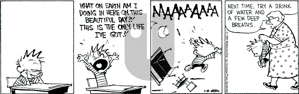 Calvin and Hobbes - Friday April 28, 1995 Comic Strip