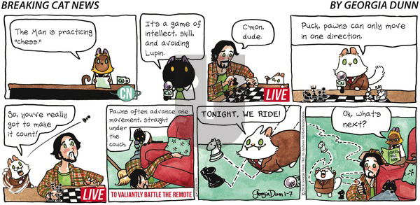 Breaking Cat News on Sunday January 7, 2018 Comic Strip