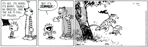 Calvin and Hobbes on Monday June 9, 2025 Comic Strip