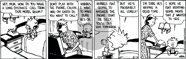 Calvin and Hobbes - Thursday May 12, 1994 Comic Strip