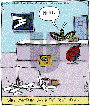 The Argyle Sweater on Wednesday August 1, 2012 Comic Strip