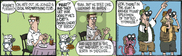 Monty - Monday June 17, 2024 Comic Strip