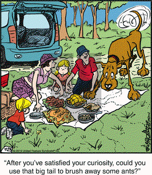 Marmaduke - Friday July 23, 2010 Comic Strip