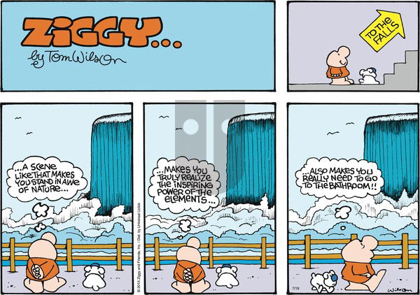 Ziggy on Sunday July 19, 2015 Comic Strip
