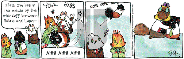Breaking Cat News on Wednesday January 15, 2020 Comic Strip