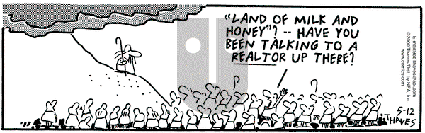 Frank and Ernest on Friday May 12, 2000 Comic Strip