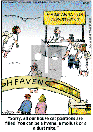 Close to Home on Wednesday June 5, 2024 Comic Strip