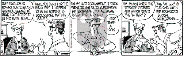 Monty on Tuesday December 7, 2004 Comic Strip