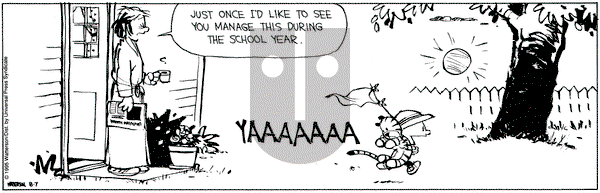 Calvin and Hobbes on Monday August 7, 1995 Comic Strip