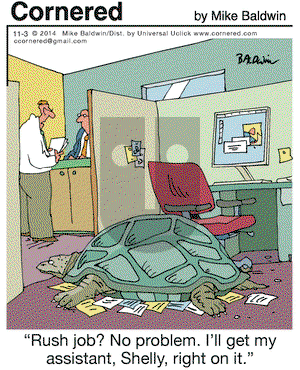 Cornered on Monday November 3, 2014 Comic Strip