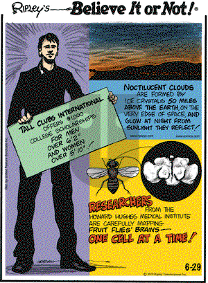 Ripley's Believe It or Not on Tuesday June 29, 2010 Comic Strip