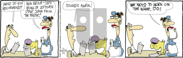 The Duplex on Wednesday July 5, 2017 Comic Strip