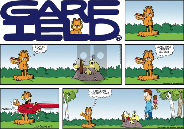 Garfield on Sunday June 3, 2012 Comic Strip