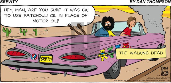 Brevity on Sunday May 14, 2017 Comic Strip