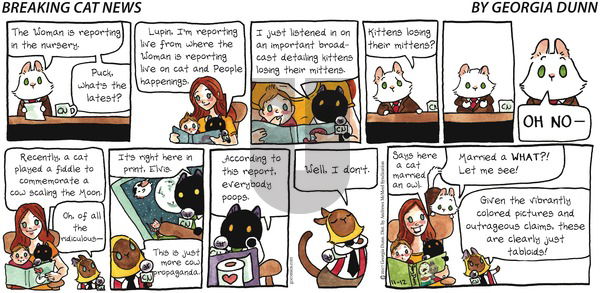 Breaking Cat News on Sunday November 12, 2017 Comic Strip