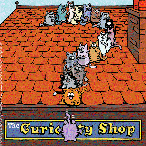 Learn to Speak Cat - Tuesday June 29, 2021 Comic Strip