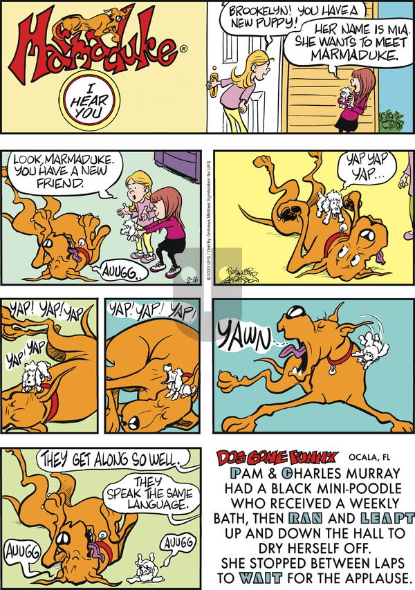 Marmaduke on Sunday February 16, 2020 Comic Strip