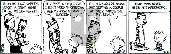 Calvin and Hobbes on Friday April 11, 1986 Comic Strip