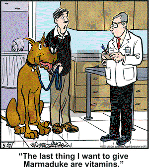 Marmaduke on Thursday May 22, 2025 Comic Strip