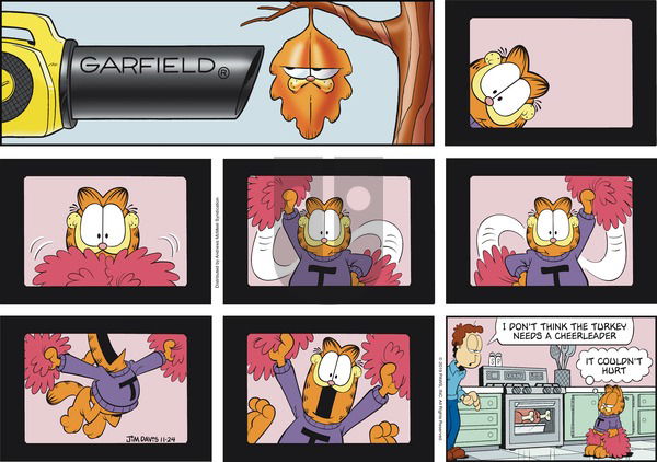 Garfield on Sunday November 24, 2019 Comic Strip