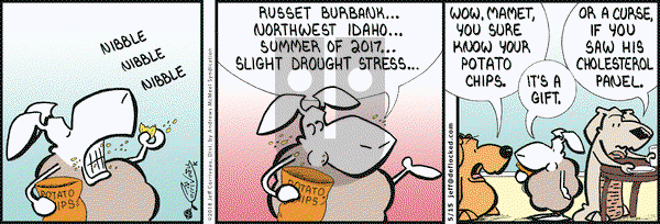 DeFlocked on Tuesday May 15, 2018 Comic Strip