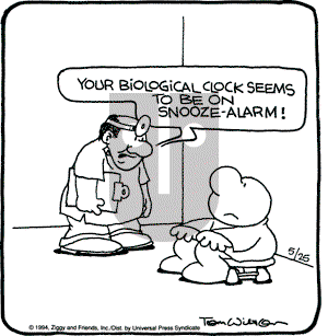Ziggy on Wednesday May 25, 1994 Comic Strip