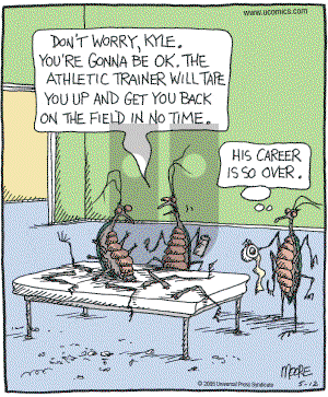 In the Bleachers - Thursday May 12, 2005 Comic Strip